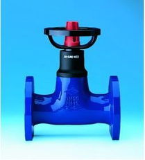 德国ARI Euro Wedi软密封闸阀产品展示 - 广州安志机电